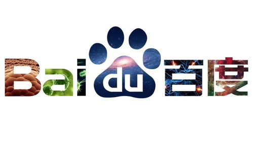 谁的泛二级做的最好蜘蛛池